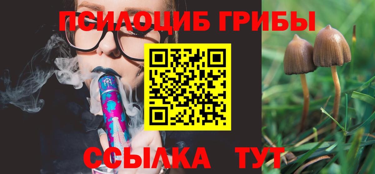 Советск  Галлюциногенные грибы Magic Shrooms  Вход с VPN  Псилоцибиновые грибы Cubensis 